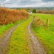 Farm track in Bradworthy, Devon, part of the outdoor space used for eco and nature-based therapy.